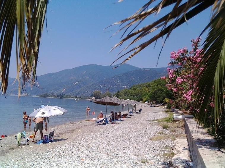 Вилла Σπίτι Στο Βουνό Αλλά Μια Ανάσα Από Τη Θάλασσα Paleochori Экстерьер фото